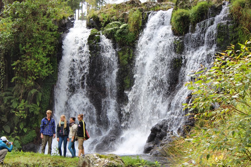 265_Wasserfall Marangu