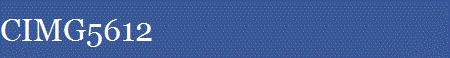 CIMG5612