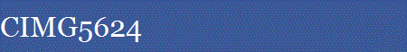 CIMG5624
