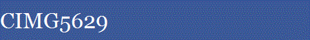 CIMG5629