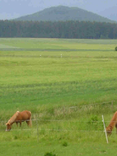 Weidelsburg2003