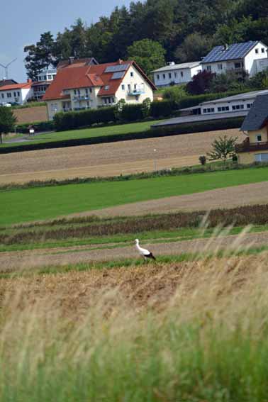2016_08_Stoerche_Roemers_04