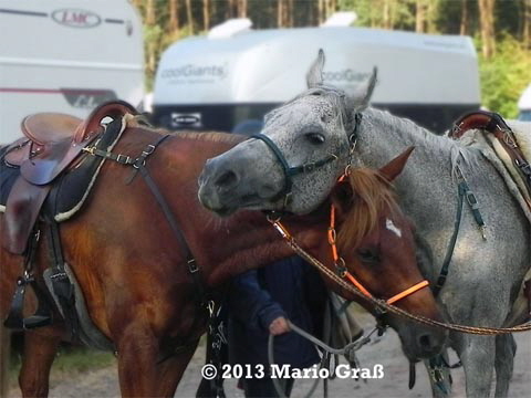 Heide10