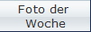 Foto der 
Woche