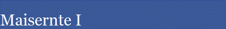 Maisernte I