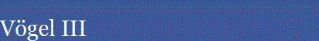 Vgel III