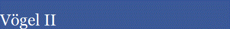 Vgel II