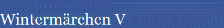 Wintermrchen V