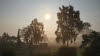20150819_074054_Richtone