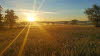 Sonnenspiel