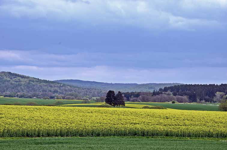Schne Landschaft