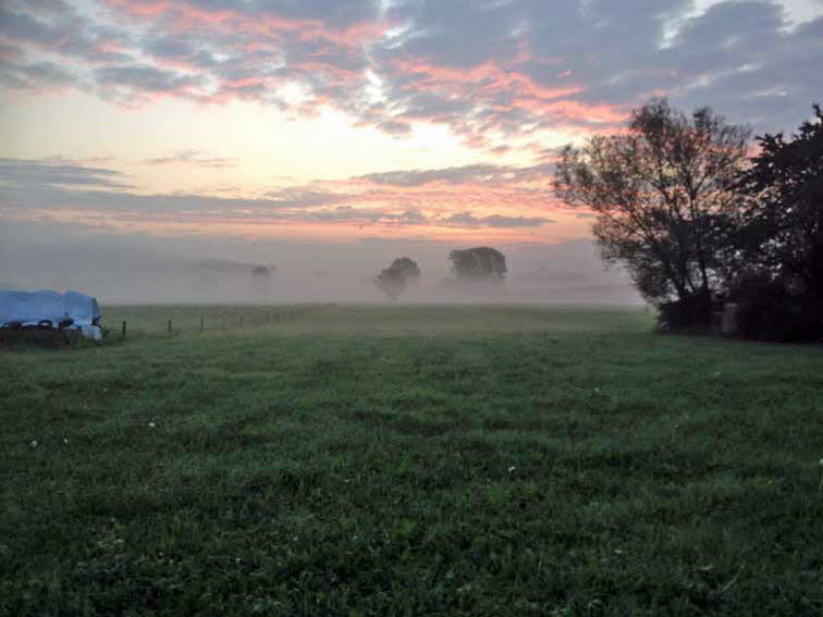 Morgenstimmung 