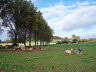 Herbstimpressionen II