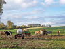 Herbstimpressionen III