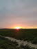 Altenstdter Sommerlandschaft II