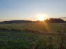 Altenstdter Sommer I