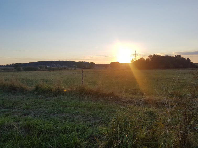Altenstdter Sommer I