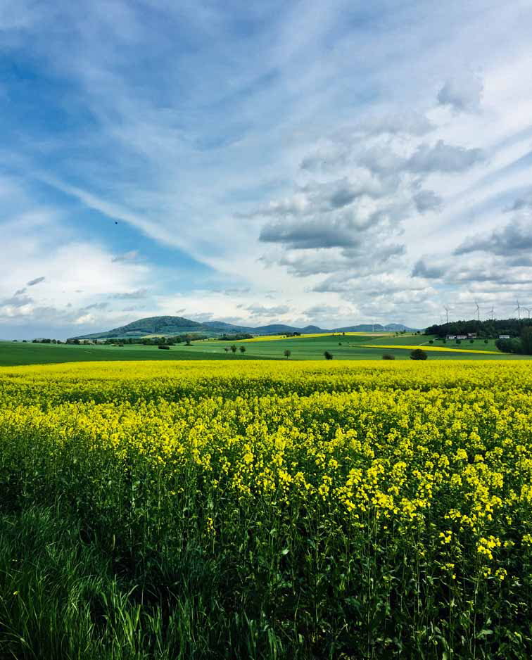 Maiwanderung