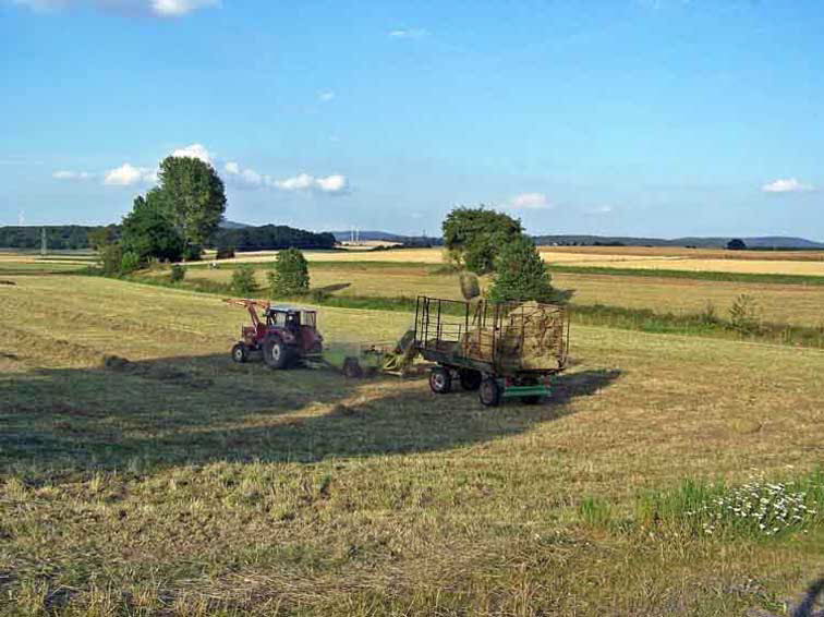 Heuernte