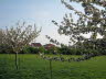 Frhling