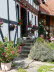 Im Wiesengrund