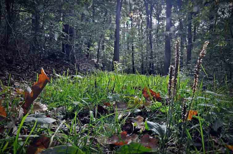 Herbstwanderung