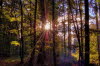 Herbstimpressionen