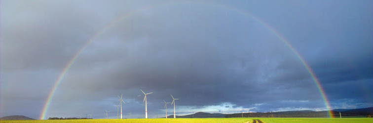 Regenbogen