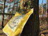 Der hungrige Baum