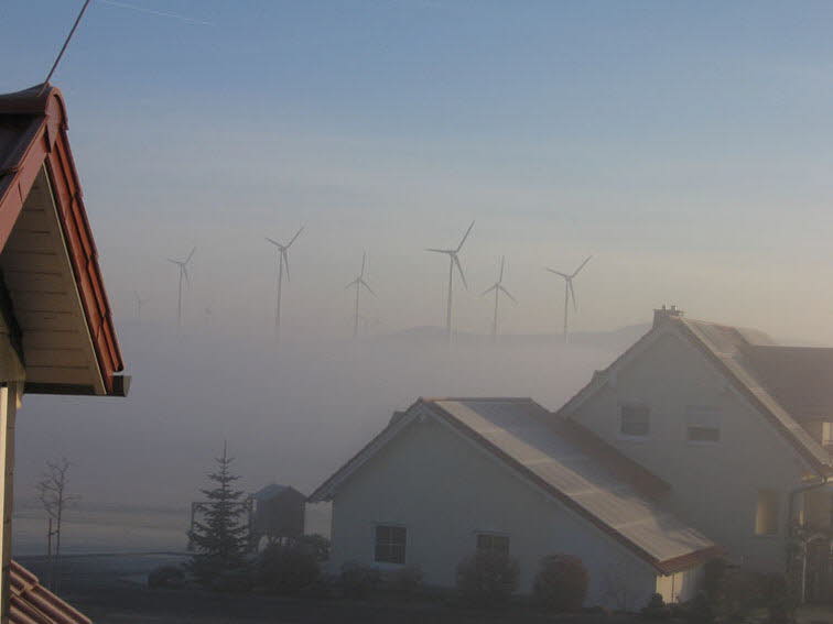 Windrder im Nebel I