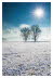 Wintertag