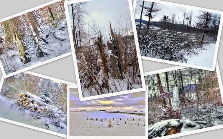 Winterimpressionen
