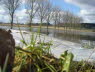 Landschaft