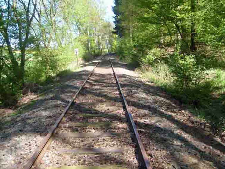 Herrliche Waldstrecke