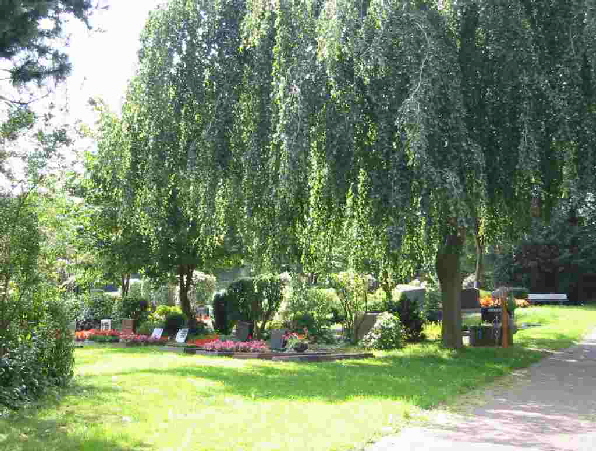 friedhof1_Schlutz