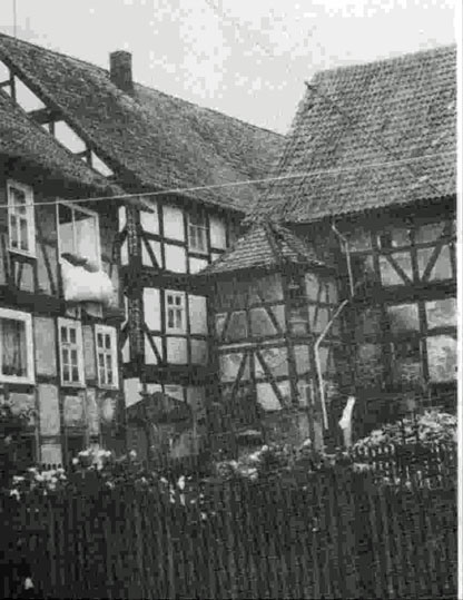 hofdoerungtauben